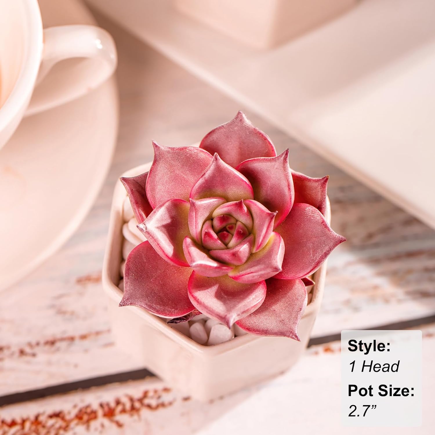 Echeveria Agavoides Romeo Succulent - Truemartstore