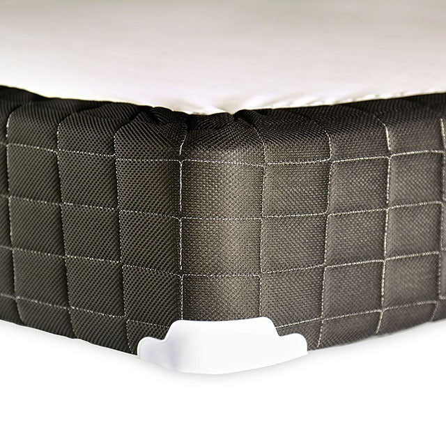 Minnetanka Foundation